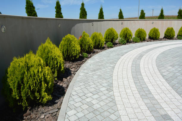 Best Interlocking Driveway Pavers  in Chilton, WI